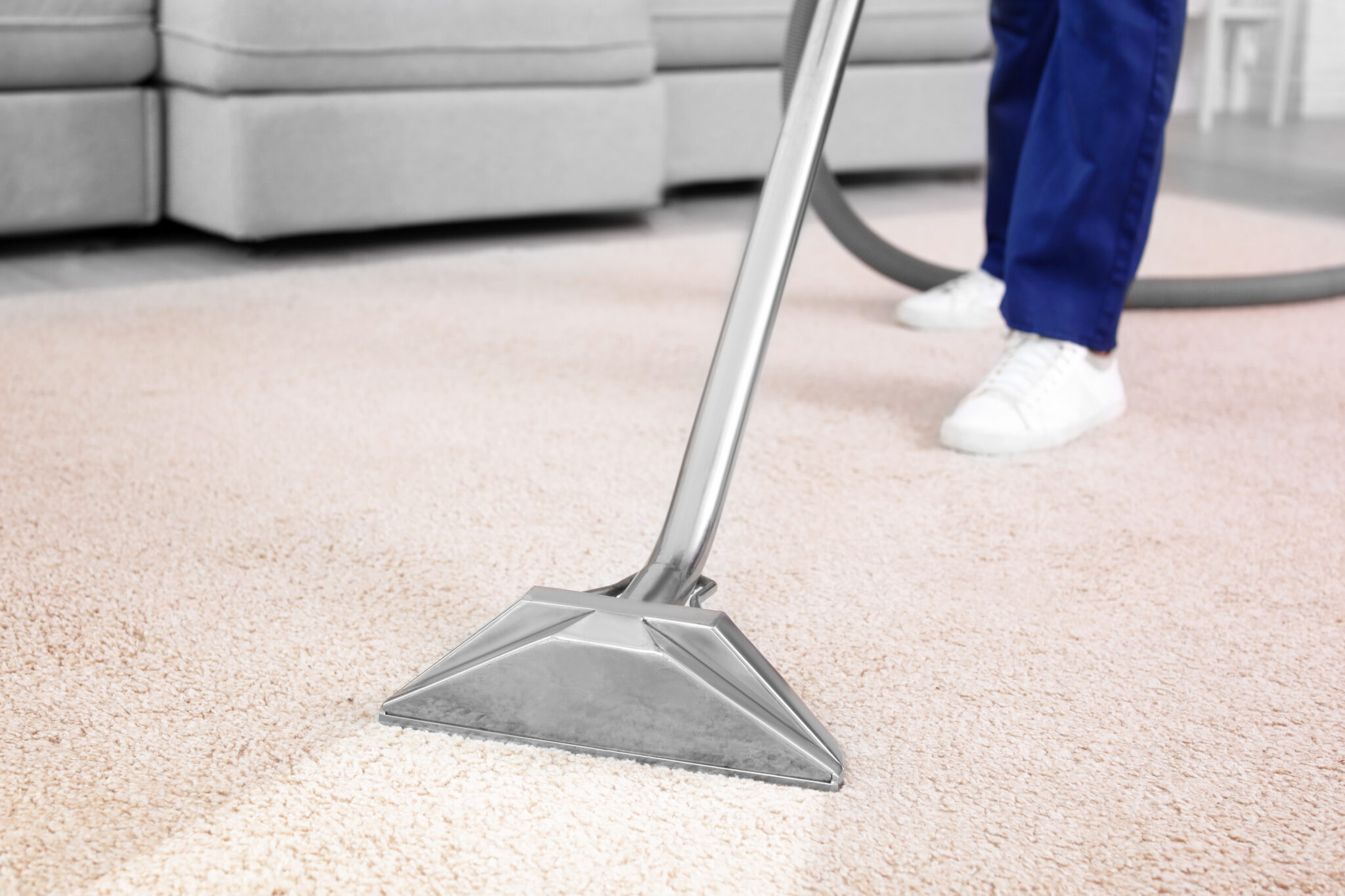 Worker removing dirt from carpet indoors, closeup.